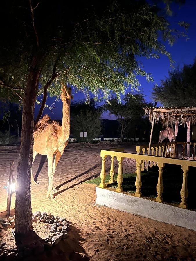Golden Palm Oasis Fulayj al Masha'ikh Exterior foto