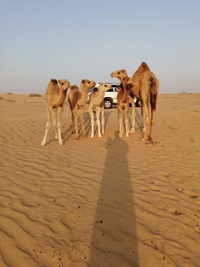 Golden Palm Oasis Fulayj al Masha'ikh Exterior foto