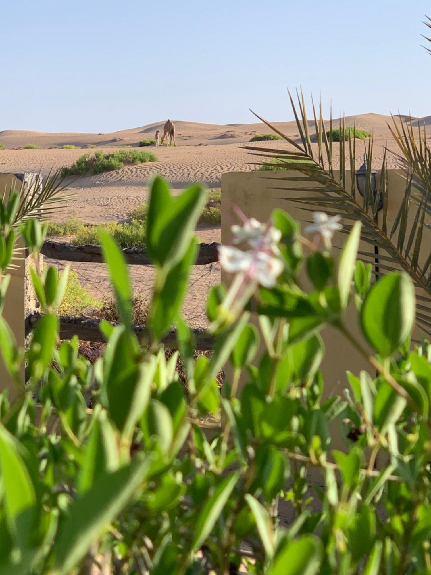 Golden Palm Oasis Fulayj al Masha'ikh Exterior foto